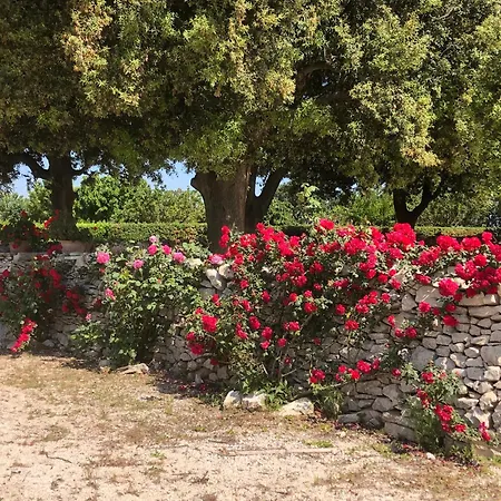Farm stay Ai Pilieri Di Bagnoli Castel Del Monte (Apulia)
